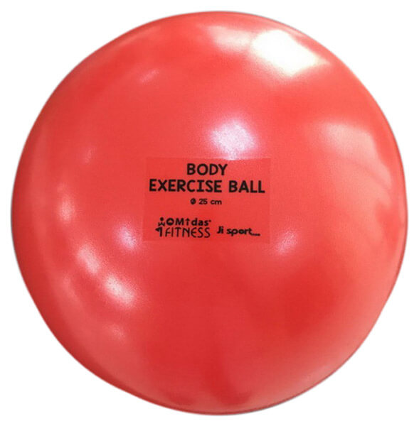 Body Exercise Pallo